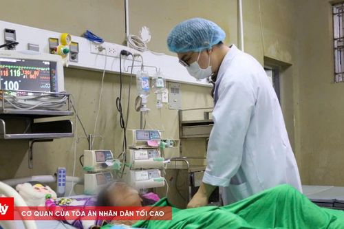 Bé gái 10 tuổi bị ong vò vẽ đốt hơn 70 vết