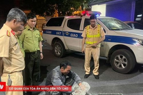 Phát hiện vụ vận chuyển 360 cá thể chim hoang dã trái phép