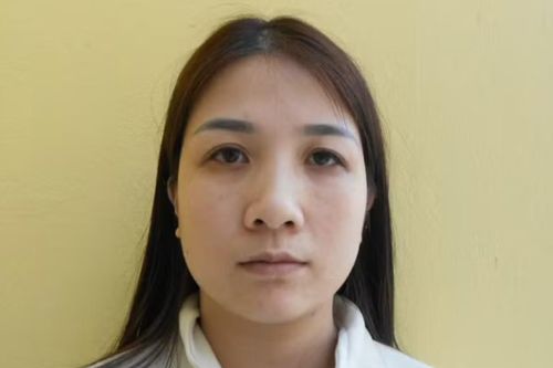 'Nữ quái' lừa đảo chiếm đoạt tiền tỷ của hai nam giám đốc