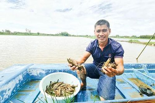 TP Cần Thơ đẩy mạnh xuất khẩu nông, lâm, thủy sản