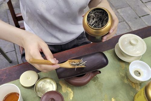 Ra mắt 'Thanh Trà Nhã Hội': Lan tỏa giá trị văn hóa trà Việt trong đời sống hiện đại