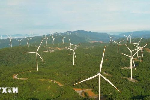 Quảng Ninh đẩy nhanh dự án nhà máy điện gió đầu tiên trên biển tại Đặc khu Cô Tô