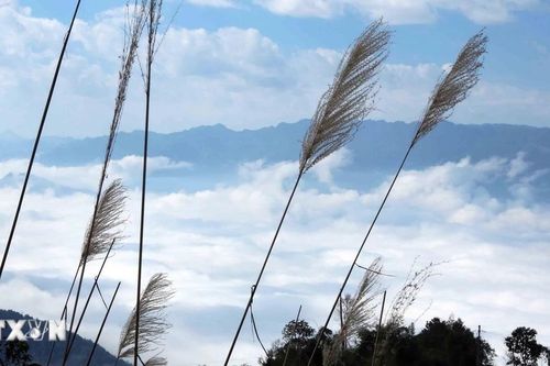 Khám phá Cao nguyên Sìn Hồ - 'Sa Pa thứ hai' của vùng Tây Bắc