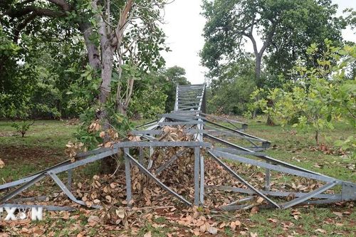 Đồng Nai: Gần 60 trụ điện bỏ không nhiều năm, người dân sống trong bất an