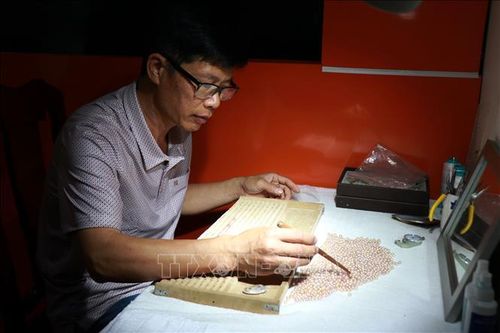 Biến đất cằn thành 'mỏ ngọc' nhờ áp dụng khoa học kỹ thuật