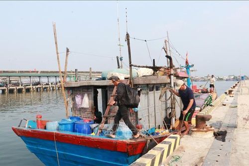 Ngư dân nỗ lực vươn khơi trước khó khăn 'kép'