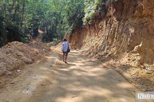Huế lập tổ kiểm tra vụ khai thác gần 40ha rừng chưa đủ hồ sơ pháp lý
