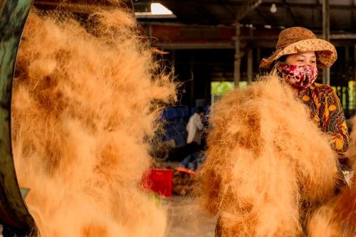 Làng nghề xơ dừa lớn nhất miền Tây tất bật đơn hàng xuất khẩu