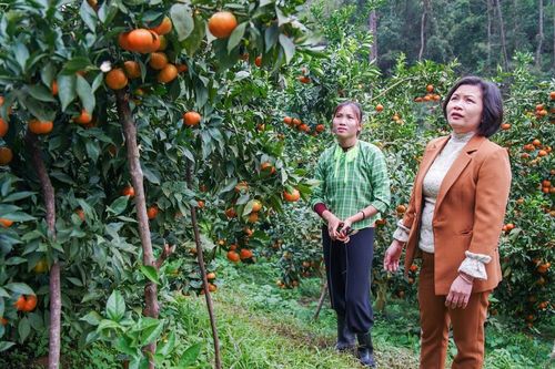 Mong sớm khắc phục khó khăn về tổ chức bộ máy và nhân sự cho các đoàn thể tại địa phương