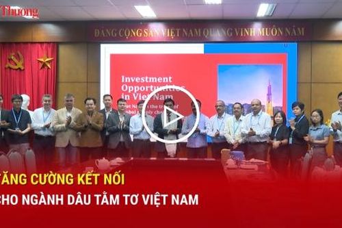 Tăng cường kết nối cho ngành dâu tằm tơ Việt Nam