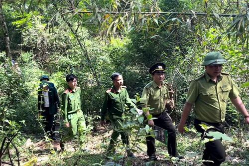 Phối hợp bảo vệ rừng, phòng cháy, chữa cháy rừng trên tuyến biên giới