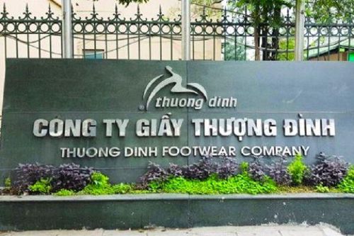 Vinaconex muốn mua 24% cổ phần Giầy Thượng Đình