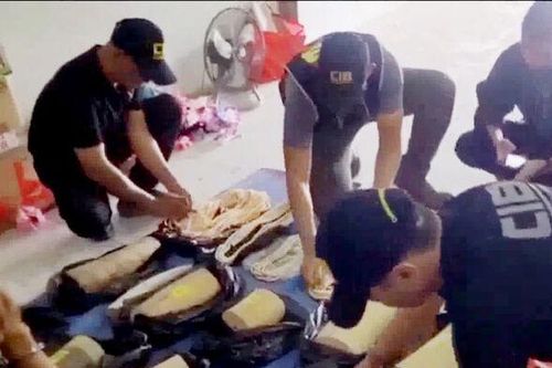 Thái Lan triệt phá vụ buôn lậu ngà voi lớn kỷ lục