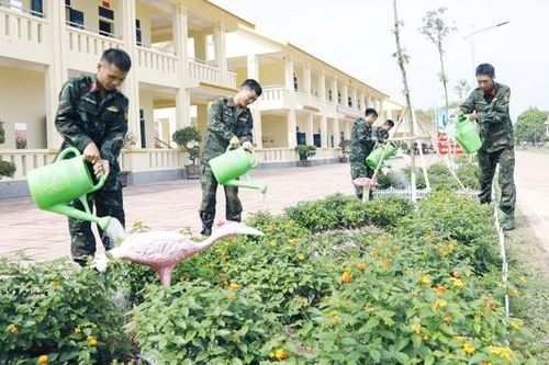 Trung đoàn 101 xây dựng doanh trại chính quy, xanh, sạch, đẹp