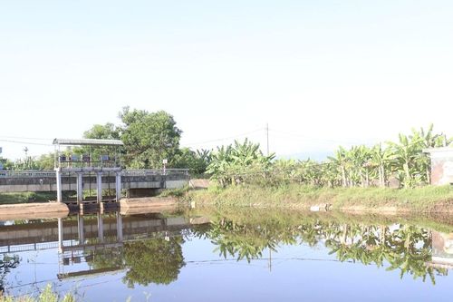 Cân đối, ổn định nguồn nước để sản xuất vụ hè thu