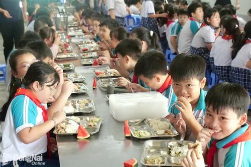 Phòng ngừa ngộ độc thực phẩm trong trường học