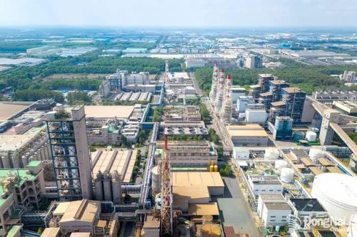 Nhơn Trạch sẵn sàng tâm thế phường động lực