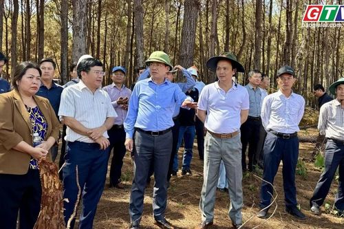 Điểm tin trưa: Chủ tịch UBND tỉnh Phạm Anh Tuấn kiểm tra loạt dự án đầu tư tại phía Tây tỉnh