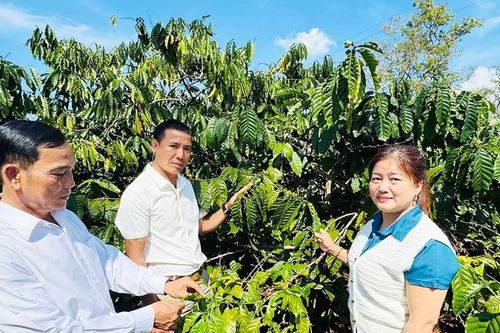 Xây dựng quan hệ lao động hài hòa, ổn định, tiến bộ: Nền tảng cho phát triển bền vững