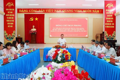 Bí thư Tỉnh ủy Trần Phong làm việc với Ban Thường vụ Đảng ủy 4 xã khu vực phía nam