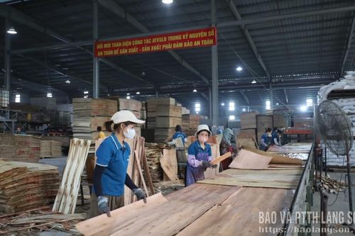 Tuấn Sơn: An toàn chế biến gỗ