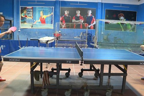 Gia đình thể thao góp phần thúc đẩy thể thao quần chúng