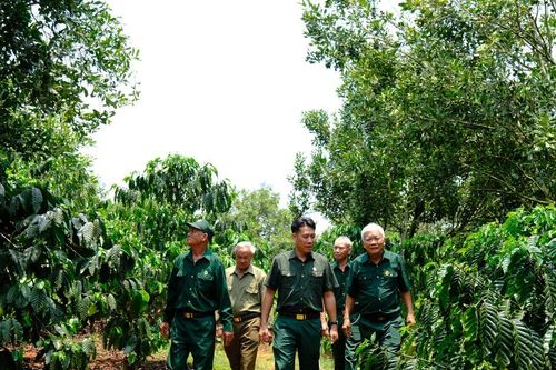 Những cựu chiến binh làm kinh tế