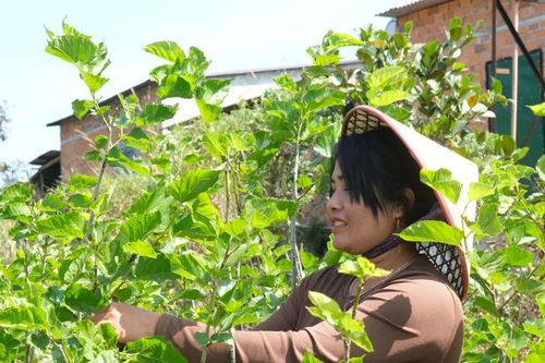 Đam Rông 1 hướng đến giảm nghèo bền vững