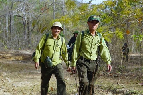Giữ 'lá phổi' xanh ở Nam Lâm Đồng