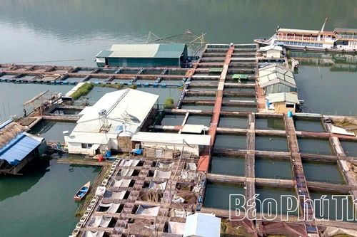 Chủ động phòng chống thiên tai trong nuôi thủy sản