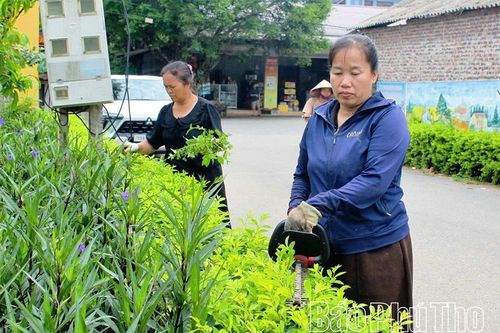 'Ngọn lửa' khơi dậy sức sống mới ở Tây Sơn