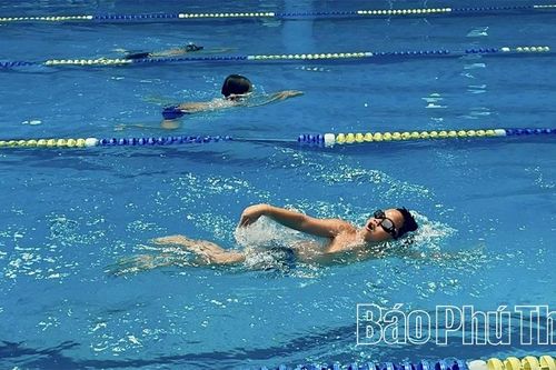 Hơn 200 học sinh Trường Tiểu học Đống Đa tham gia thi đấu môn bơi