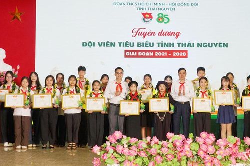 Tuyên dương 85 giáo viên Tổng phụ trách và đội viên xuất sắc