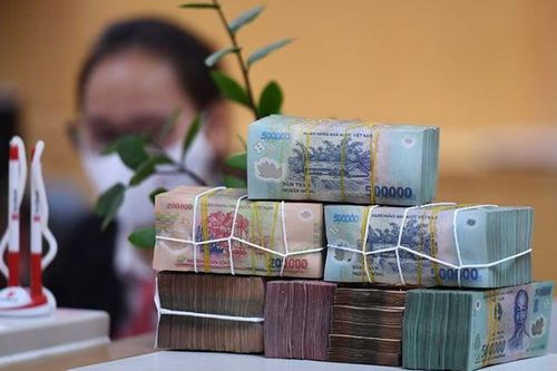 Cổ đông Hòa Phát, LPBank, Dược Hậu Giang sắp nhận cổ tức tiền mặt