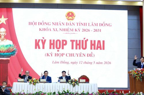 HĐND tỉnh Lâm Đồng xem xét nhiều nội dung quan trọng về đầu tư công, đất đai, quản lý rừng
