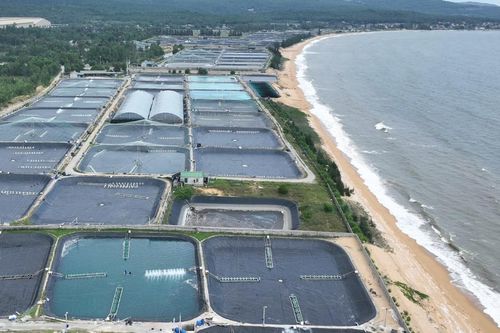 Loạt 'đại gia' muốn rót vốn đầu tư Cảng biển Đông Hồi