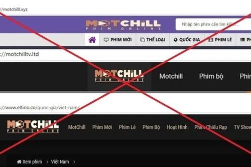Dẹp nạn ăn cắp bản quyền trên không gian số: Ma trận 'đen' web lậu (bài 2)