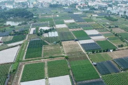 Kiên quyết xử lý các dự án không triển khai, 'ôm đất, giữ chỗ'