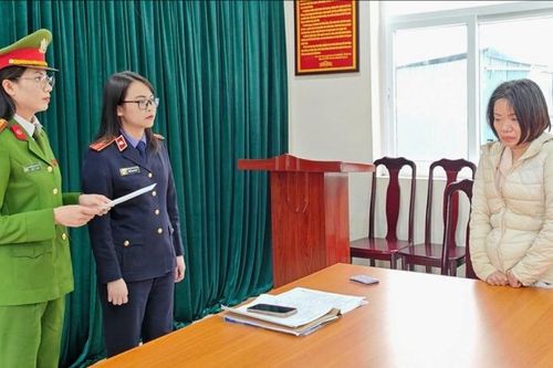 Sắp xét xử nữ giúp việc bạo hành cụ bà 82 tuổi