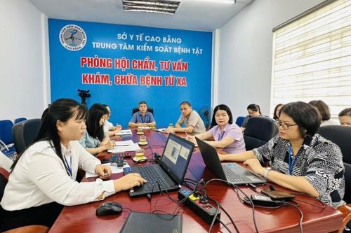 Hội nghị trực tuyến triển khai cập nhật thông tin dịch bệnh, hướng dẫn một số nội dung về công tác phòng, chống dịch bệnh do vi rút Hanta