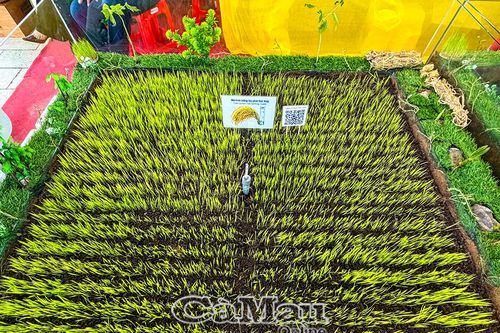 Hiện thực hóa khát vọng tăng trưởng xanh