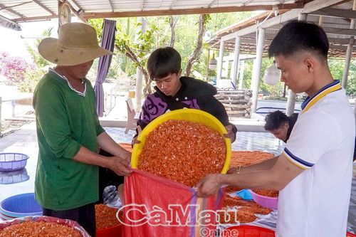 Tìm hướng phát triển từ tiềm năng khác biệt