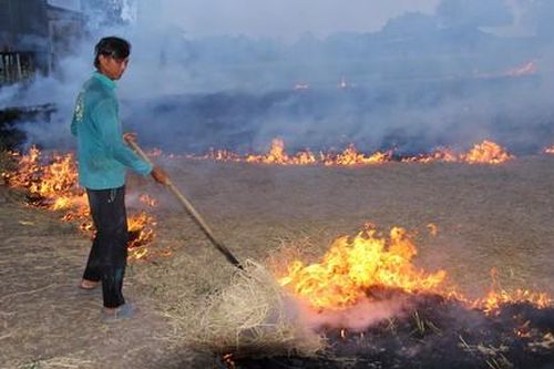 Giữ đất cho đồng bằng: Bài 1: Khi dòng chảy biến động