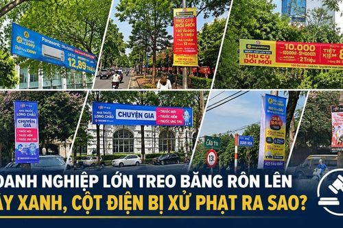 Doanh nghiệp công nghệ lớn treo băng rôn lên cây xanh, cột điện giữa lòng Hà Nội