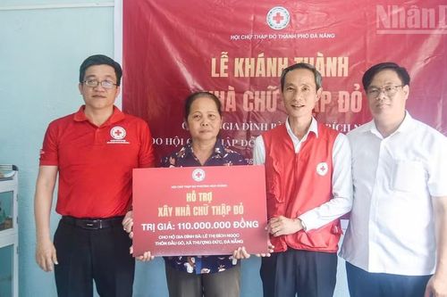 Đà Nẵng lan tỏa Tháng Nhân đạo với nhiều hoạt động vì cộng đồng