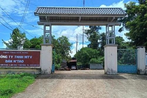 'Nóng' tình trạng lấn, chiếm đất lâm nghiệp của Công ty TNHH MTV Đắk N'Tao