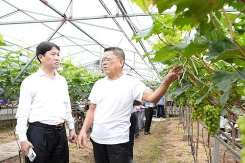 Xã Thuận An: Gỡ khó từ đồng ruộng, tiếp sức cho những mô hình nông nghiệp mới