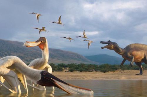 Quái vật thế giới chưa từng biết 'trỗi dậy' từ khối đá trong bảo tàng