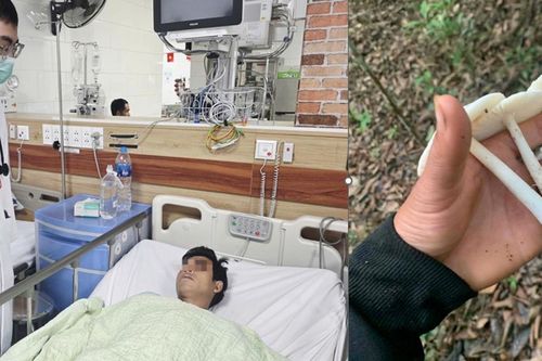 Nhiều người viêm gan, suy gan cấp, suy đa tạng nguy kịch vì sai lầm khi ăn nấm tự hái