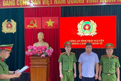 Khởi tố nguyên cán bộ địa chính xã ở Thái Nguyên vì sai phạm liên quan 33ha đất rừng